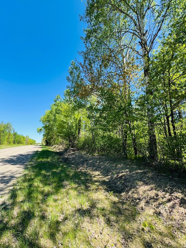 LOT1 Hanson Lake Rd, Lawrence Twp, MN 55744