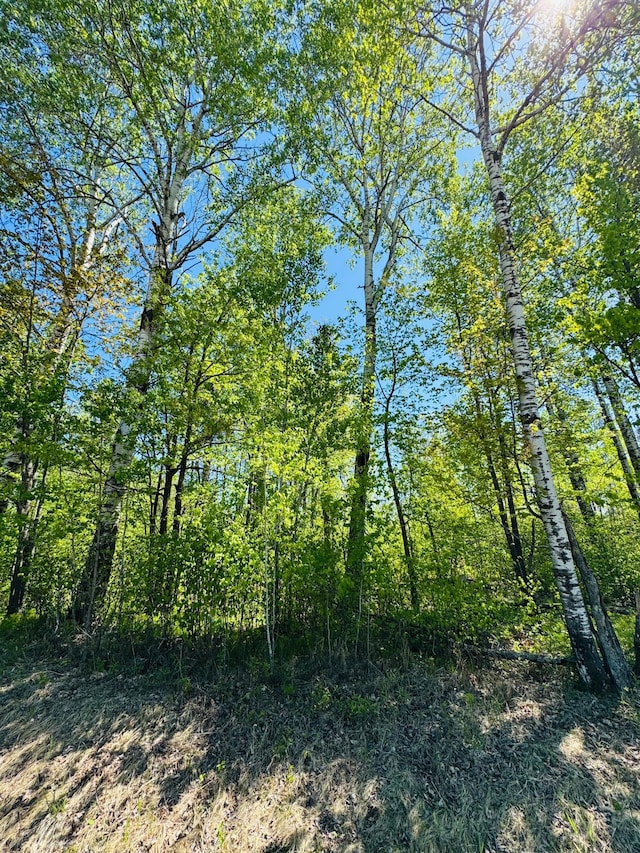 LOT1 Hanson Lake Rd, Lawrence Twp, MN 55744