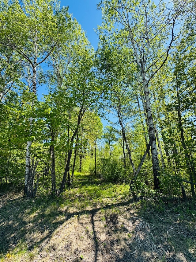 LOT1 Hanson Lake Rd, Lawrence Twp, MN 55744