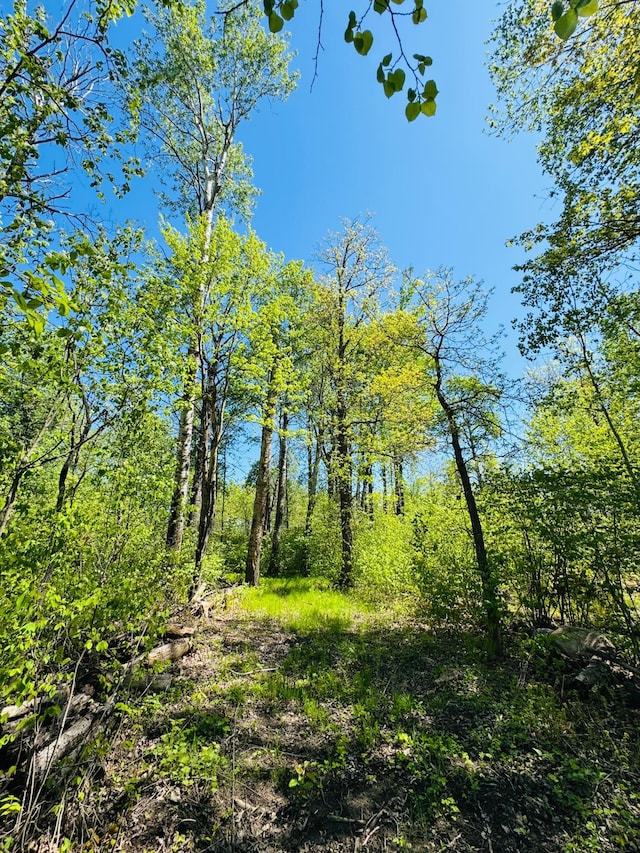 LOT1 Hanson Lake Rd, Lawrence Twp, MN 55744
