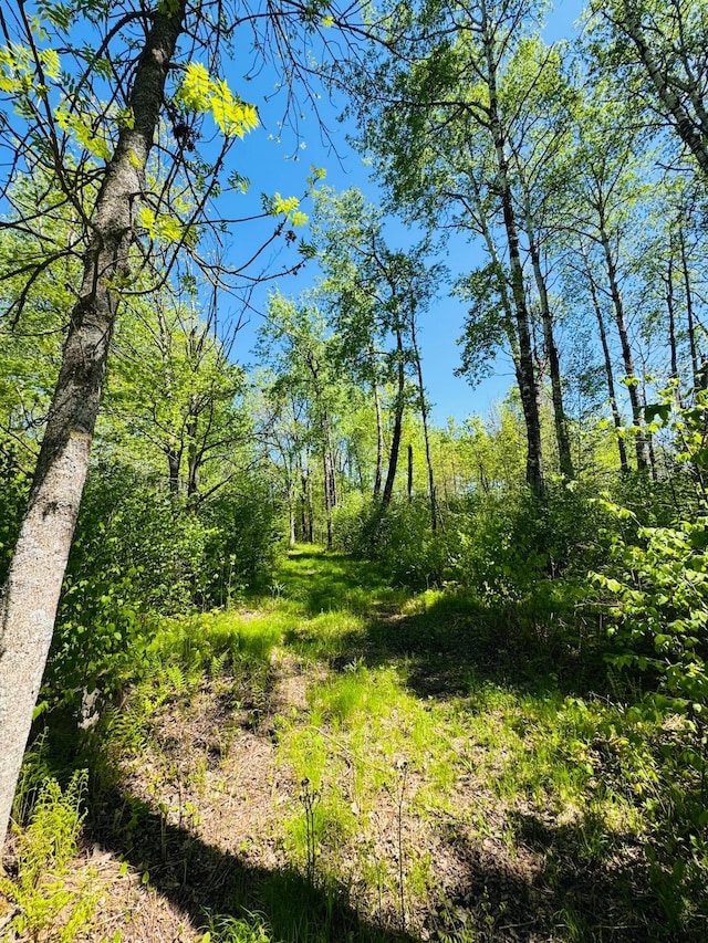 LOT1 Hanson Lake Rd, Lawrence Twp, MN 55744