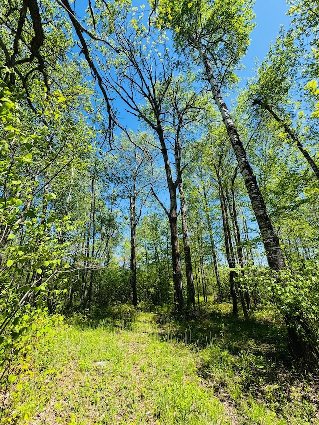 LOT1 Hanson Lake Rd, Lawrence Twp, MN 55744
