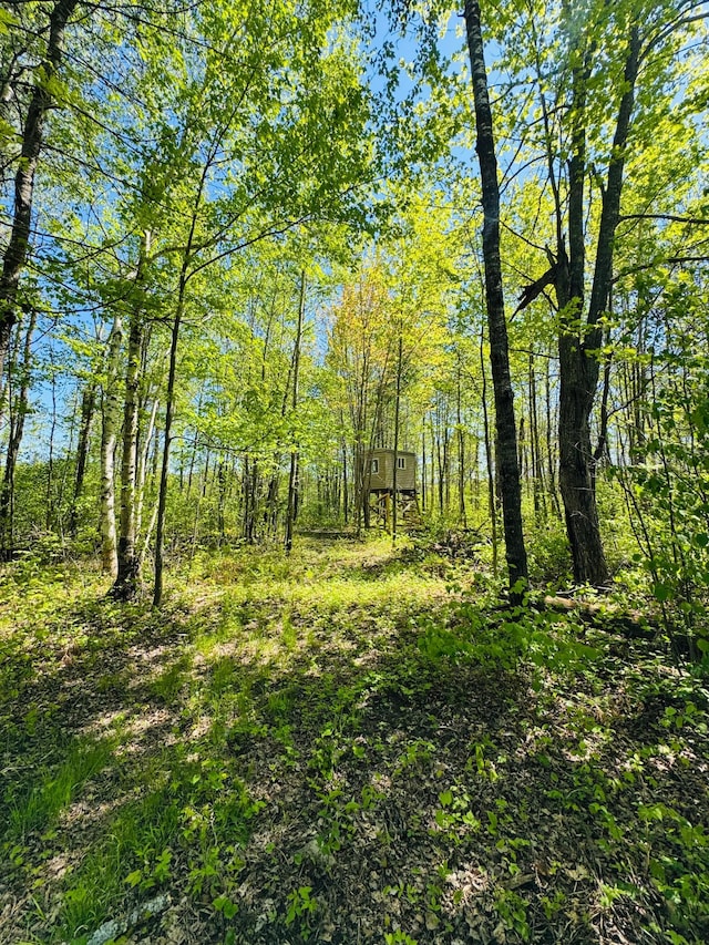 LOT1 Hanson Lake Rd, Lawrence Twp, MN 55744