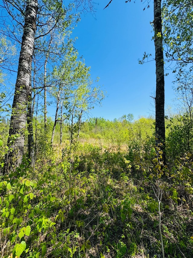 LOT1 Hanson Lake Rd, Lawrence Twp, MN 55744