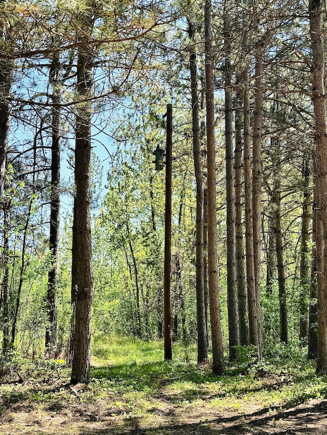 LOT1 Hanson Lake Rd, Lawrence Twp, MN 55744
