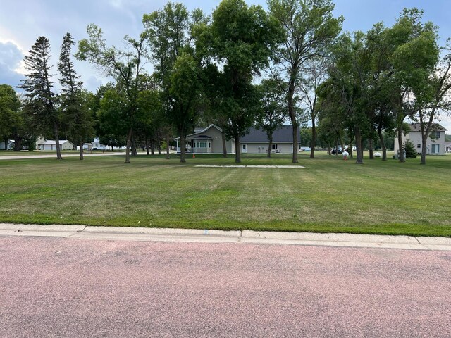 101 Kent St, Lake Benton, MN 56149 - photo 3