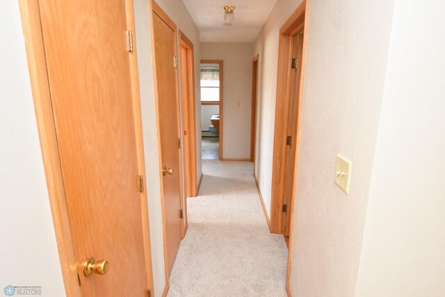807 Pleasant Dr, Ada, MN 56510 - photo 14