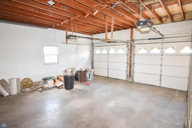 807 Pleasant Dr, Ada, MN 56510 - photo 45