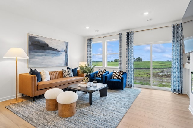 2451 Jandell Ave NE, Saint Michael, MN 55376 - living room featuring wood finished floors, recessed lighting, and healthy amount of natural light
