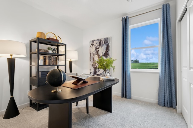 2451 Jandell Ave NE, Saint Michael, MN 55376 - office featuring light colored carpet