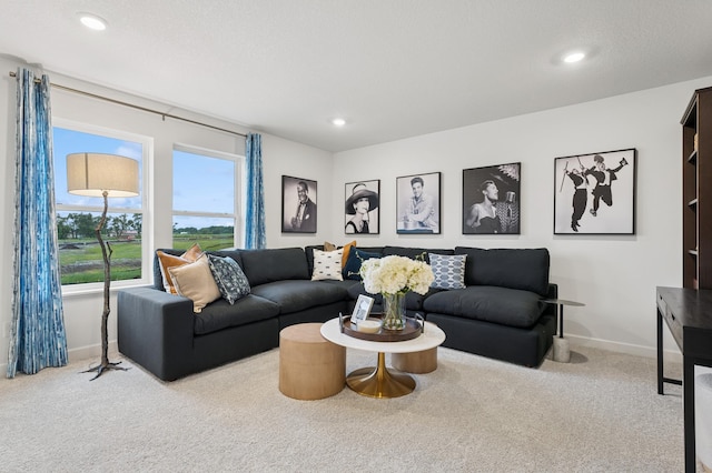 2451 Jandell Ave NE, Saint Michael, MN 55376 - living room with carpet and recessed lighting
