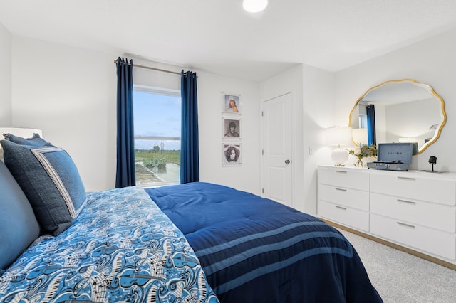 2451 Jandell Ave NE, Saint Michael, MN 55376 - bedroom featuring carpet floors