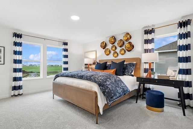 2451 Jandell Ave NE, Saint Michael, MN 55376 - bedroom featuring carpet floors, multiple windows, and recessed lighting