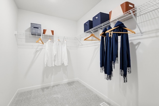 2451 Jandell Ave NE, Saint Michael, MN 55376 - spacious closet with carpet flooring