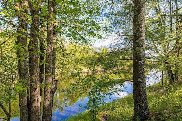 79394 Long Lake Rd, Kettle River Twp, MN 55795 - water view with a forest
