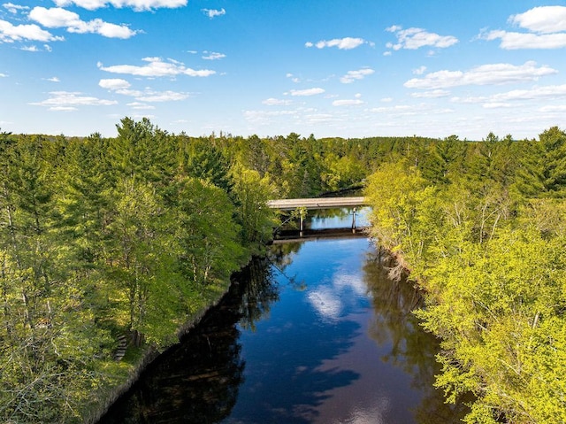 79394 Long Lake Rd, Kettle River Twp, MN 55795 - water view featuring a forest and a notable bridge
