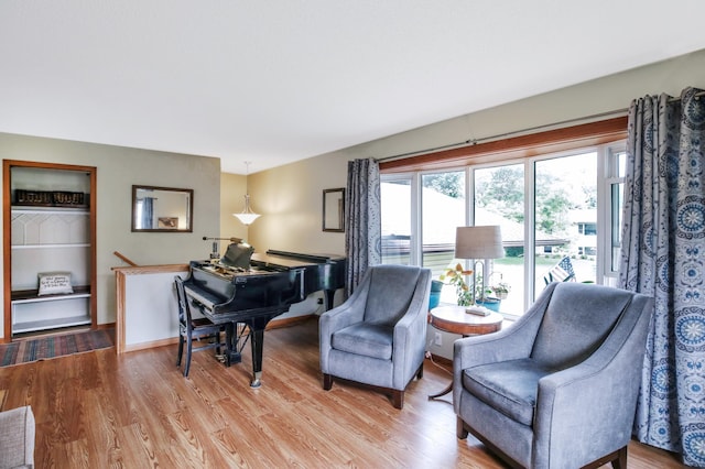 308 18th Ave NE, Waseca, MN 56093 - living room with light wood-style floors