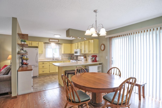 308 18th Ave NE, Waseca, MN 56093 - dining room featuring a chandelier, a textured ceiling, and light wood finished floors