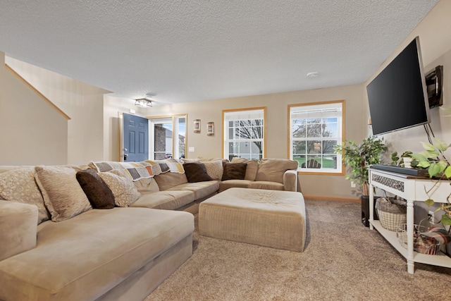10542 188th Ave NW, Elk River, MN 55330 - carpeted living room featuring a textured ceiling