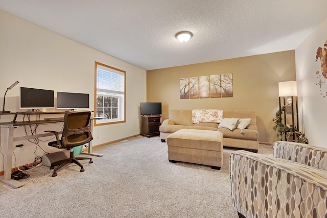 10542 188th Ave NW, Elk River, MN 55330 - carpeted office space with baseboards and a textured ceiling