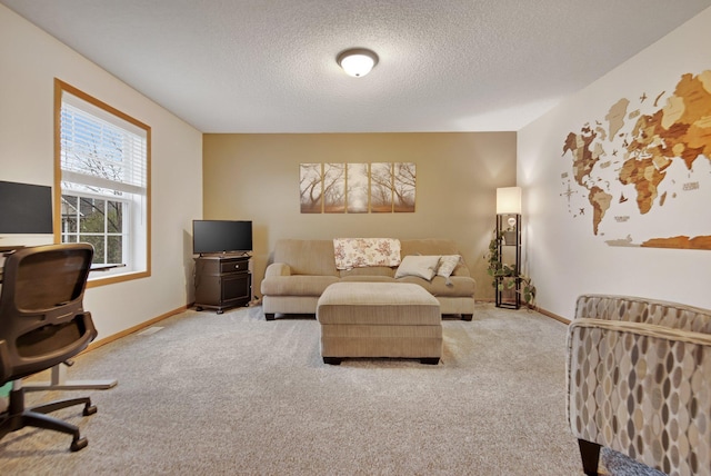 10542 188th Ave NW, Elk River, MN 55330 - office space with light colored carpet, a textured ceiling, and baseboards
