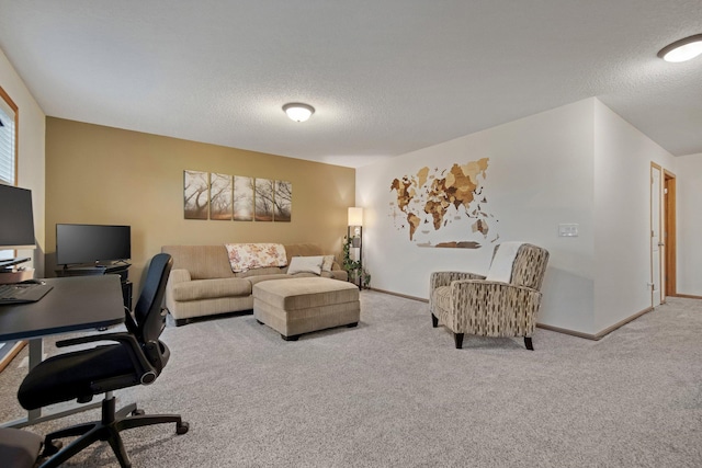 10542 188th Ave NW, Elk River, MN 55330 - home office with carpet, a textured ceiling, and baseboards