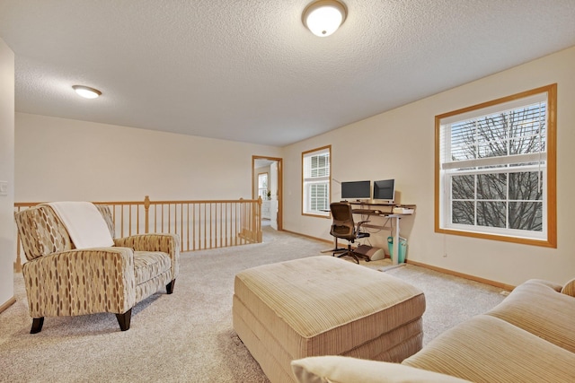 10542 188th Ave NW, Elk River, MN 55330 - living area with light colored carpet, a textured ceiling, and baseboards