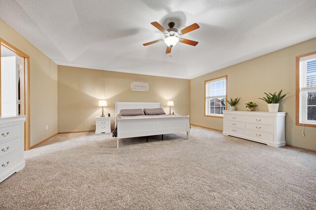 10542 188th Ave NW, Elk River, MN 55330 - carpeted bedroom with multiple windows, a textured ceiling, baseboards, and a ceiling fan