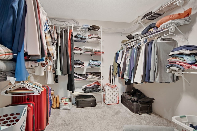 10542 188th Ave NW, Elk River, MN 55330 - walk in closet featuring carpet flooring