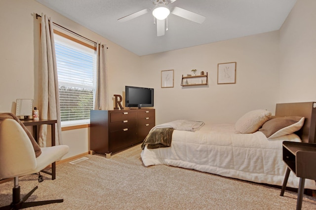 10542 188th Ave NW, Elk River, MN 55330 - bedroom featuring carpet, baseboards, and ceiling fan