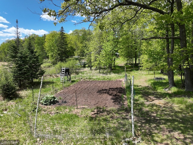 3004 370th Ave, Sandstone, MN 55072 - view of yard