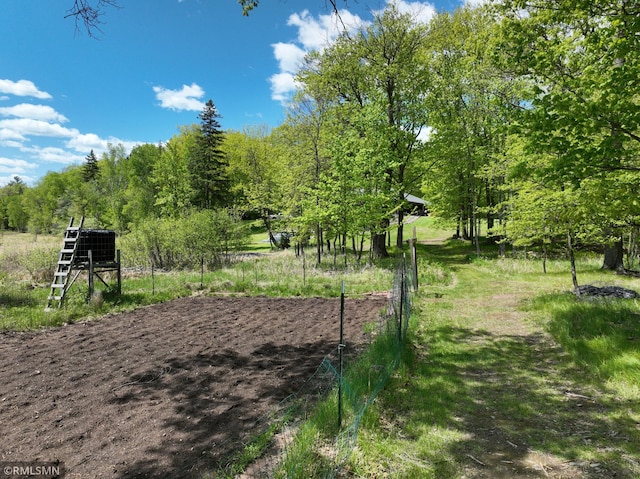 3004 370th Ave, Sandstone, MN 55072 - view of yard