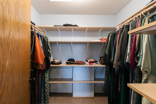 9309 Loch Lomond Ln, Brooklyn Park, MN 55443 - spacious closet with carpet flooring