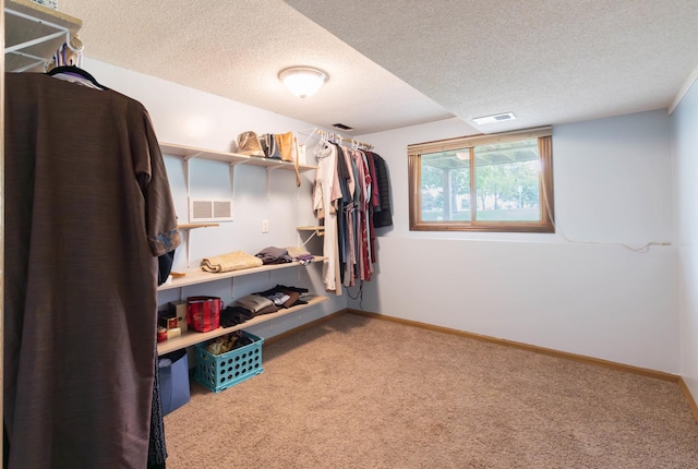 9309 Loch Lomond Ln, Brooklyn Park, MN 55443 - spacious closet with carpet