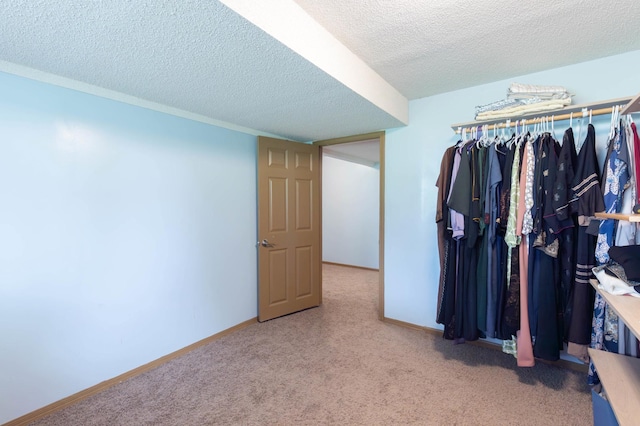 9309 Loch Lomond Ln, Brooklyn Park, MN 55443 - walk in closet with carpet floors