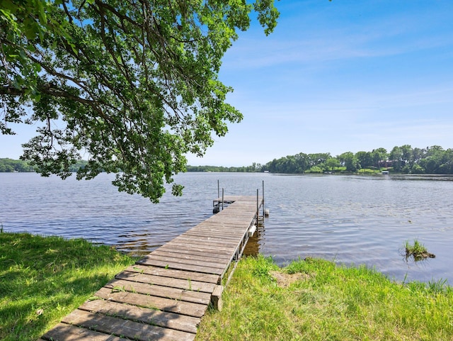 10785 56th St, Palmer Twp, MN 55319 - photo 15