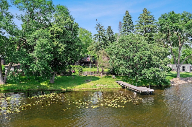 10785 56th St, Palmer Twp, MN 55319 - photo 16