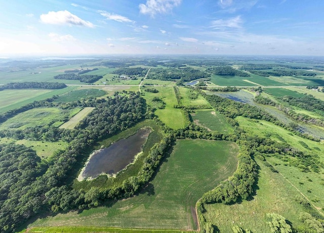 TBD 490th St, Elysian Twp, MN 56028 - photo 3