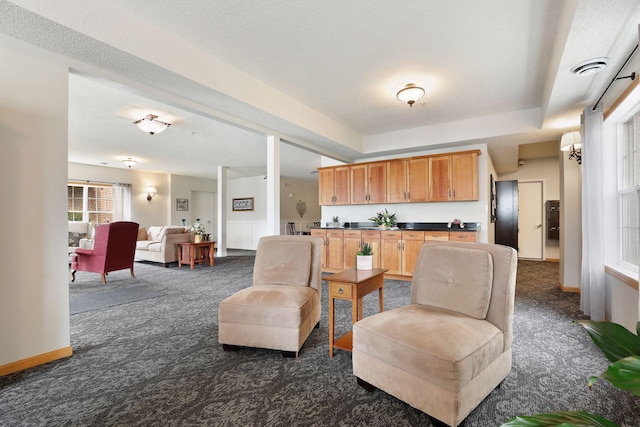 2231 Penn Pl Unit 224, North Saint Paul, MN 55109 - living room featuring dark carpet, baseboards, and a textured ceiling
