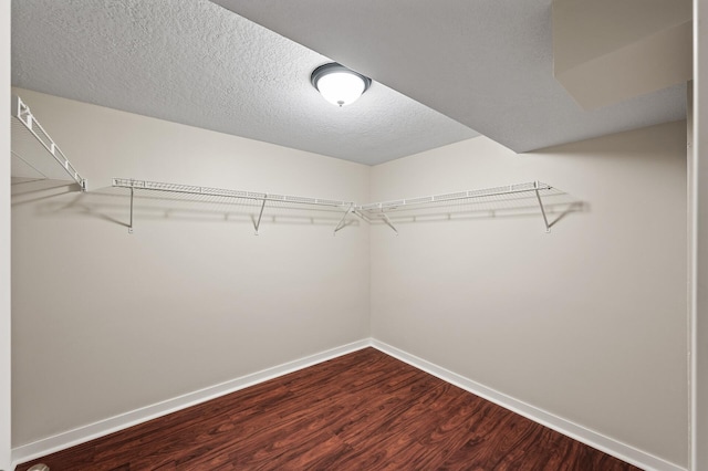 713 83rd Ave NE, Spring Lake Park, MN 55432 - spacious closet featuring dark wood-style floors