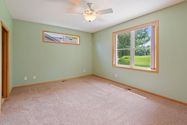 1223 Cypress Dr W, Annandale, MN 55302 - unfurnished room with plenty of natural light, carpet flooring, a ceiling fan, and a textured ceiling