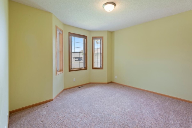 1223 Cypress Dr W, Annandale, MN 55302 - unfurnished room with carpet floors, baseboards, and a textured ceiling