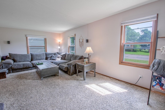 1221 11th St SE, Saint Cloud, MN 56304 - living room with carpet flooring, healthy amount of natural light, and baseboards
