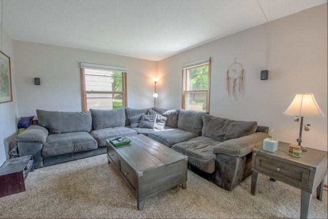 1221 11th St SE, Saint Cloud, MN 56304 - living area with healthy amount of natural light and carpet floors