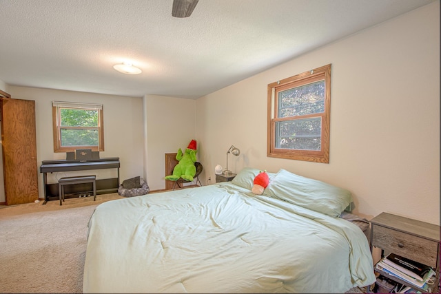 1221 11th St SE, Saint Cloud, MN 56304 - bedroom featuring carpet flooring and a textured ceiling