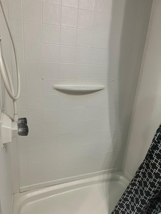 13240 Devils Lake Rd NW Unit 27And 26, Brandon Twp, MN 56315 - bathroom with a tile shower