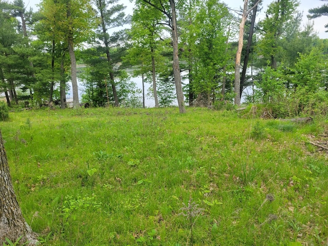 1737 White Ash Ln, Apple River Twp, WI 54810