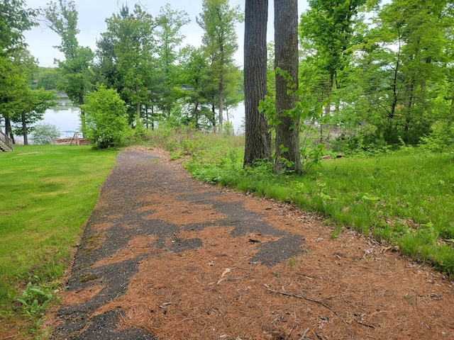 1737 White Ash Ln, Apple River Twp, WI 54810