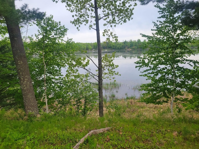 1737 White Ash Ln, Apple River Twp, WI 54810