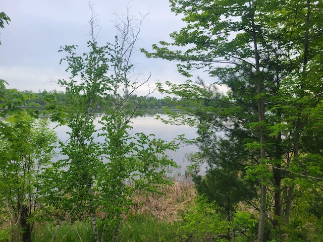 1737 White Ash Ln, Apple River Twp, WI 54810